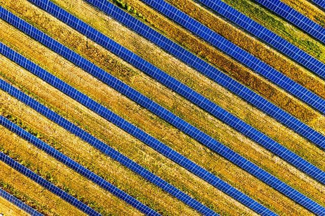 Vibrant aerial shot of solar panels in a field, showcasing renewable energy in Red Wing, MN.